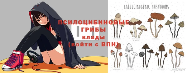 прущая мука Мегион