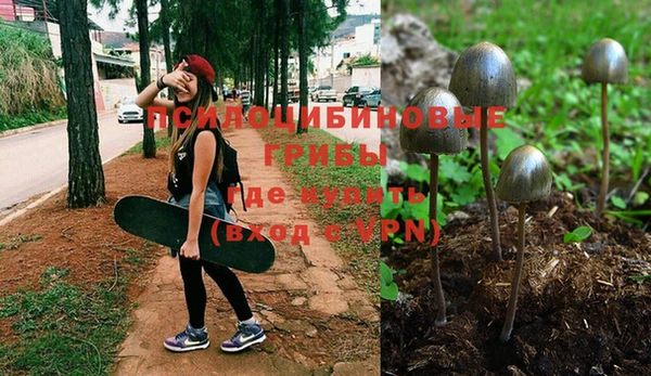 прущая мука Мегион